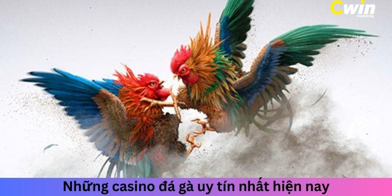 Những casino đá gà uy tín nhất hiện nay